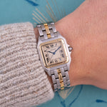 Load image into Gallery viewer, Cartier Panthère Mid Size Ref.183949