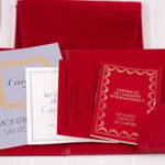 Load image into Gallery viewer, Cartier Santos Carré "Ghost" dial Ref.9172960 Full Set