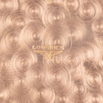 Load image into Gallery viewer, Longines 30CH Fab Swiss French Case