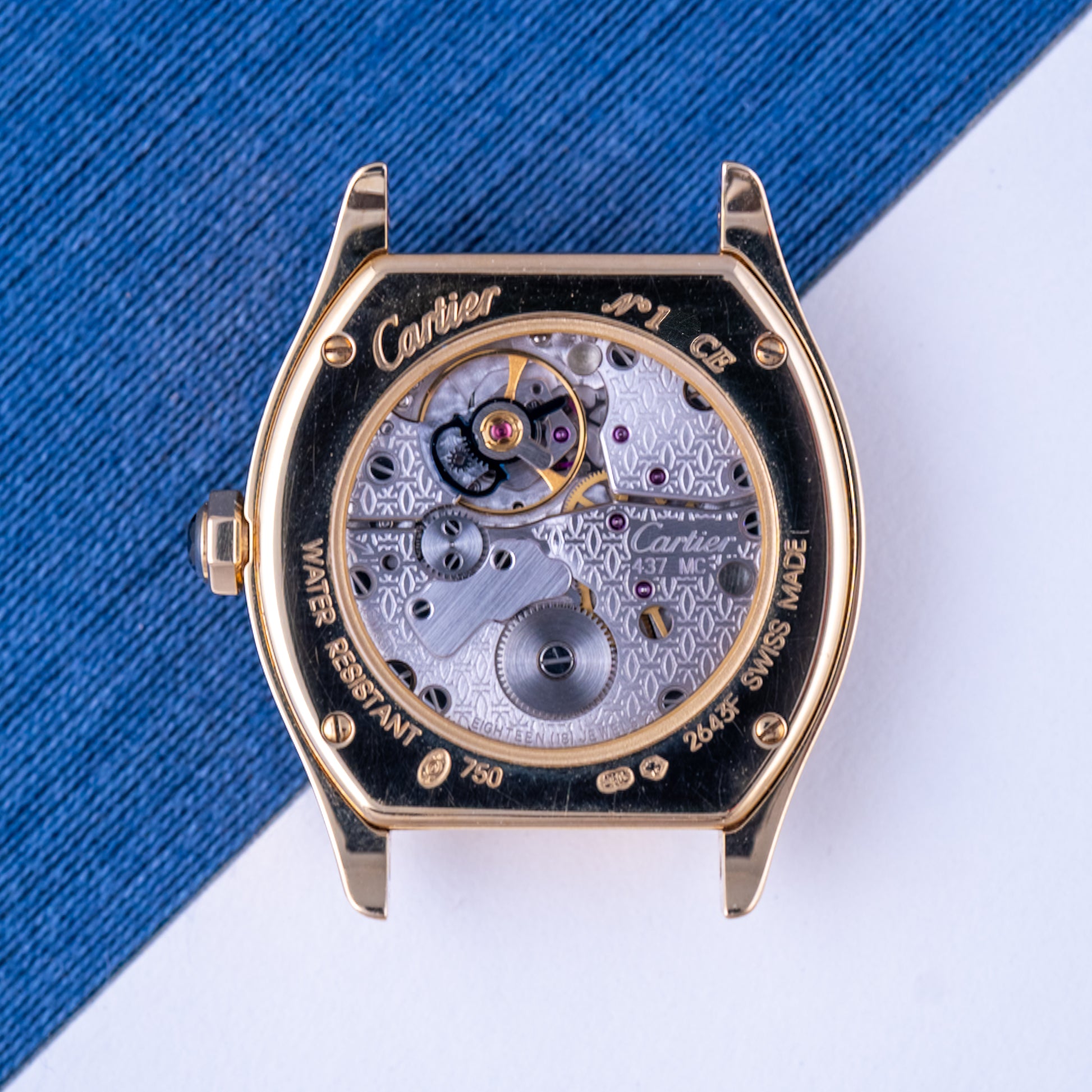 Tortue CPCP Ref.2643F