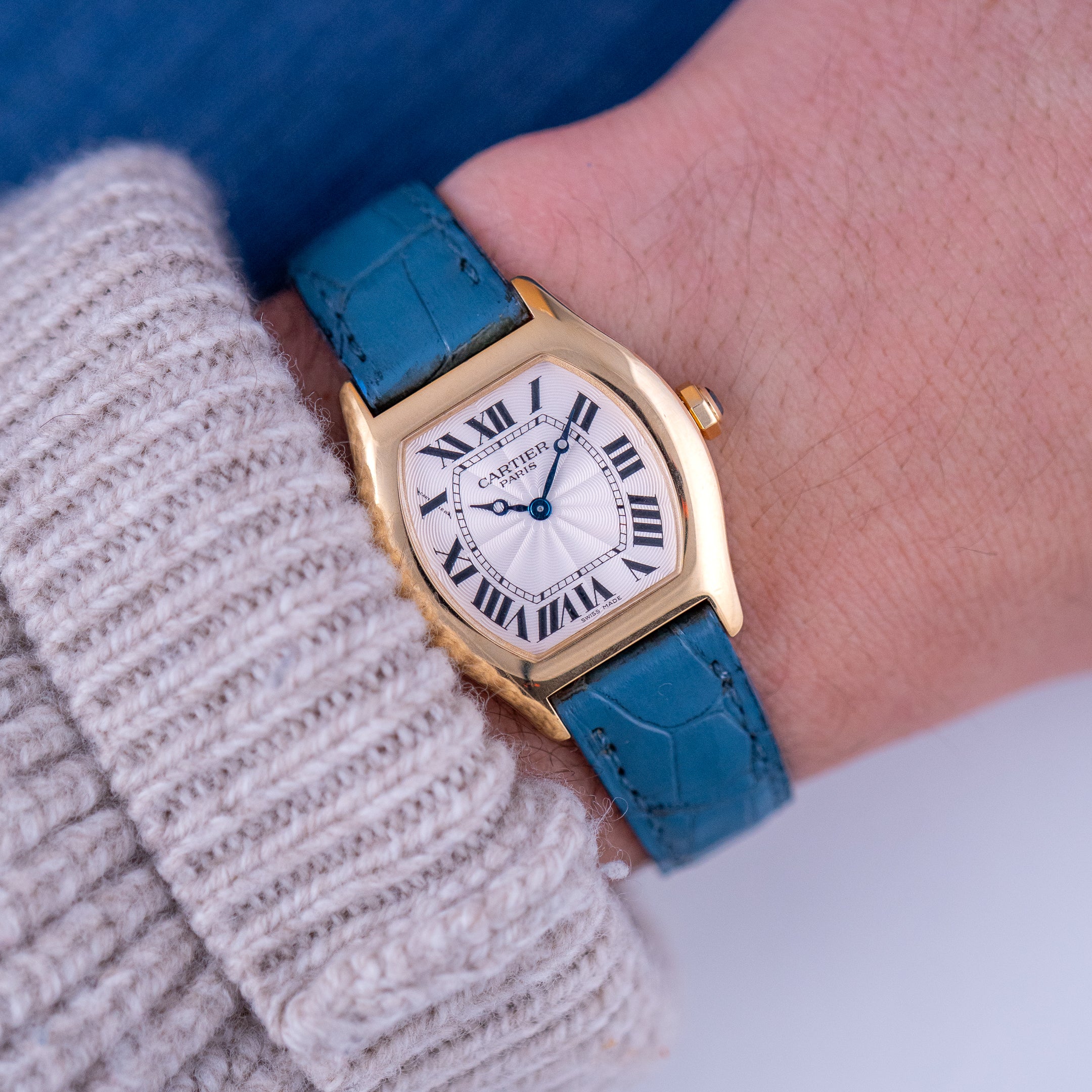 Tortue CPCP Ref.2643F